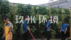 植物墻屋頂花園